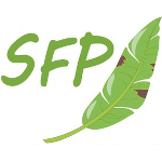 SFP